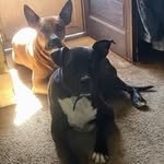 Tonya Potter - @unlucky_75_75 - Instagram