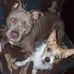 Tonya Toni Potter - Facebook