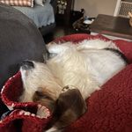 Tonya Burkes-Quick - @tonyaq37 - Instagram