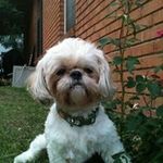 Tonya Quick - @tlqrn71 - Instagram