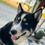 Tonya Randall - @tonyahomeschoolmomma93 - Instagram