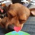 Tonya Randall - Facebook