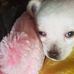 Tonia Sneed - Facebook