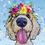 Tonya Snyder - @tonyarsnyder - Instagram