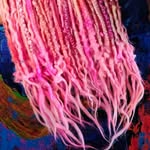 Tonya Springer - @gratefuldreadshop - Instagram