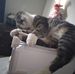 Tonya Stuart - Facebook