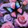 Tonya Vanmeter 1972 - @tonya.vanmeter.19 - TikTok