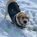 Tonya Wells - Facebook