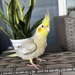 Tootie Johnson - @tootietoo23 - Instagram