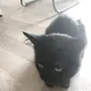 elizablossontopazjonesarnold - @elizaarnoldjonesblossom - TikTok