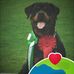 Torben Bentsen - Facebook