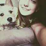 Torey Lee - @toreylee - Instagram
