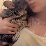 Tori & Bean ⭐️ - @tori_lovesbean - Instagram