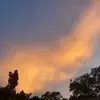 Tori Bloom - @tori.bloom2 - TikTok