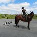 Tori Williamson, Dartmoor Equine Therapy, Bowen and Laser - Facebook