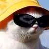 torithebright - @torithebright - TikTok