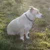 Tori hoffman - @torihoffman_happy - TikTok