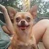 Tori Keith608 - @torikeith608 - TikTok