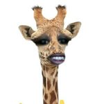 Tori Ann Patrick - @tortor24nxttt_love - Instagram