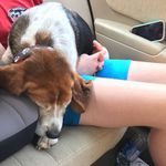Tori Patterson - @tori.patterson.127 - Instagram