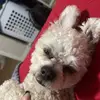tori - @toririveraa - TikTok