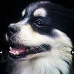 Terry - @terry.tori - Instagram