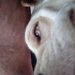 Toribio Sanchez - @toribio.sanchez.1293 - Instagram