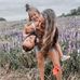 Torie Gray - Facebook