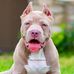 Torin Moore - Facebook