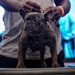 Torrance van Smith Jr. - @torrance_smith_ - Instagram