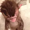 TORREY CARTER - @torrey.carter1 - TikTok