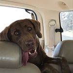 Torrey Gray Scarsbrook - @torrey.gray.scarsbrook - Instagram