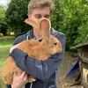 Torsten🦦 - @torsten.grossm - TikTok