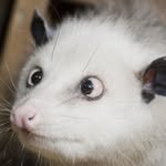 Torsten Groß - @torsten315 - Instagram