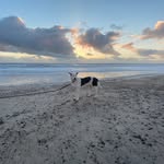 Torsten Groß - @torstengross15 - Instagram