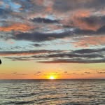 Torsten Schmidt - @schmidtmitdttorstenohneh - Instagram