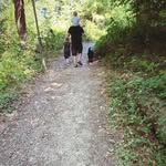 Torsten Schmidt - @torsten__schmidt - Instagram