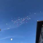 Torsten Schmidt - @torsten102 - Instagram