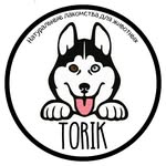 Tory Adams - @torik_pet_store - Instagram