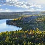 Tory Bradley - @boreal_biome - Instagram