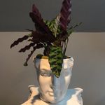 Tory Day Interiors - @torydayinteriors - Instagram