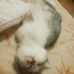 토리 - @tory_daylife - Instagram