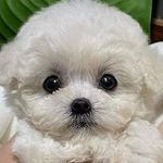 토리/Tory - @toryday_ - Instagram