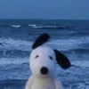 bunnybloom - @torygolden - TikTok