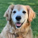 Tory Burke - @torysgoldenlife - Instagram