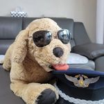 토리 - @tory_the_golden - Instagram
