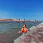 HARPER - @toryharperrtfu - Instagram