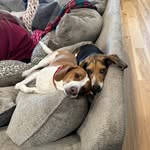 Tory Ford-Harper - @toryfordharper - Instagram