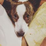 Tory Roberts - @ni1asa959 - Instagram