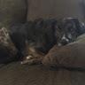Tory Ryan - @toryryan0 - TikTok